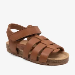 aksel cognac