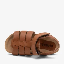 aksel cognac