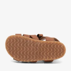 aksel cognac