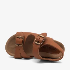 alfie cognac