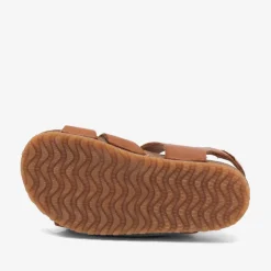 alfie cognac