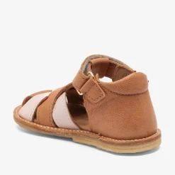 alva cognac