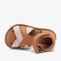 alva cognac