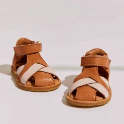 alva cognac