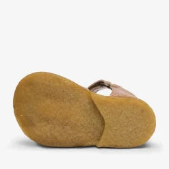 ami camel croco
