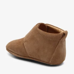 baby star camel