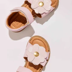 barbara candyfloss