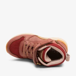 drake tex rosa