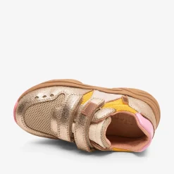 herle tex gold