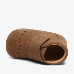 petit camel