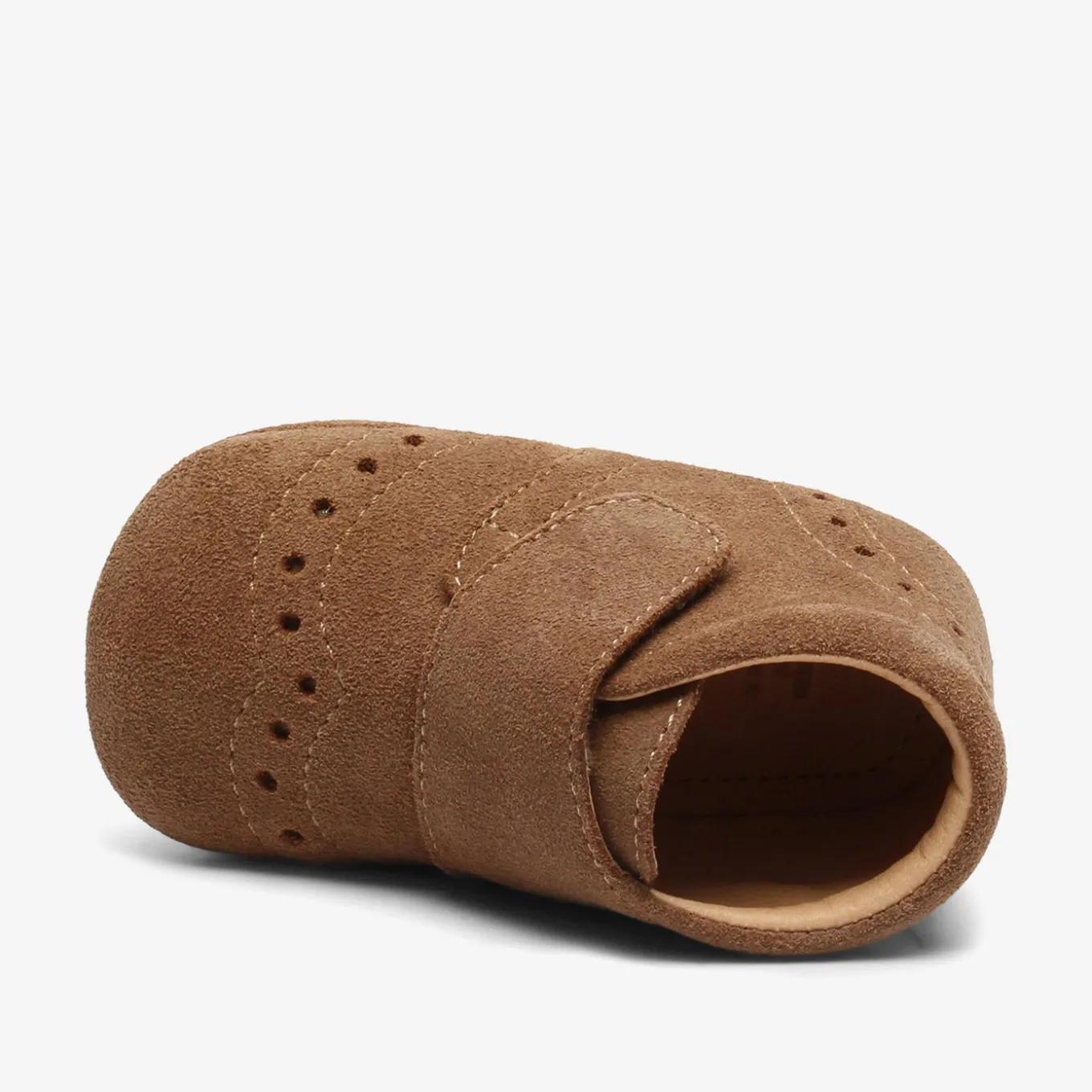 petit camel