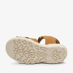 riley cognac