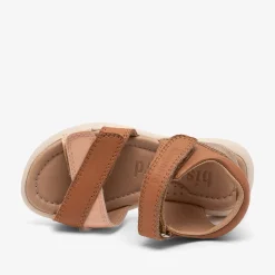 sofie cognac