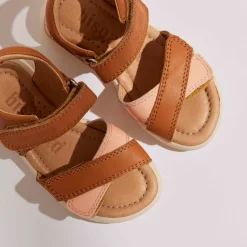 sofie cognac