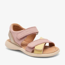 sofie rose yellow