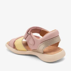 sofie rose yellow