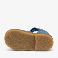 steph blueberry