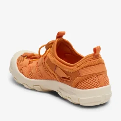 zion orange